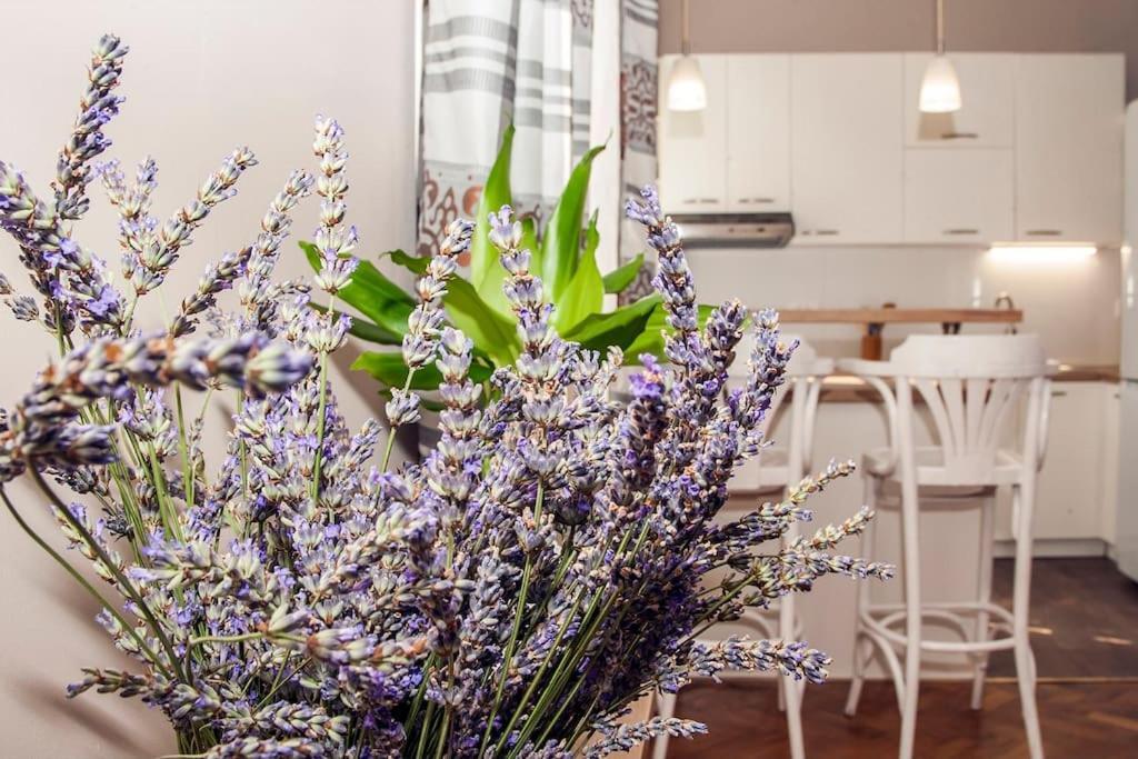 Apartment Pataky Загреб Екстериор снимка
